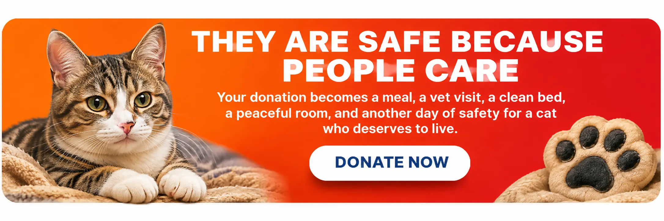 They are safe because people care. Donations help provide food, veterinary care, and a safe forever home.
