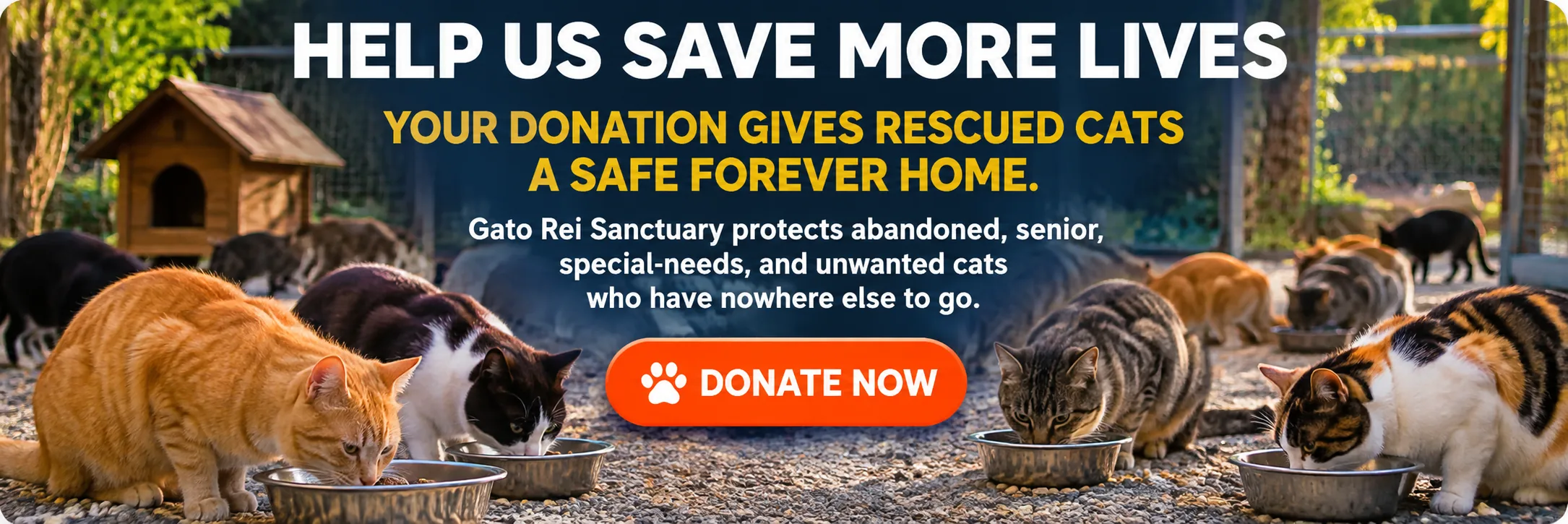 Help us save more lives. Donate now.