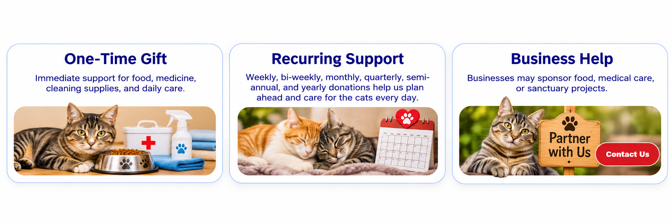 Three ways to support our cats: One-Time Gift, Recurring Support, and Business Help